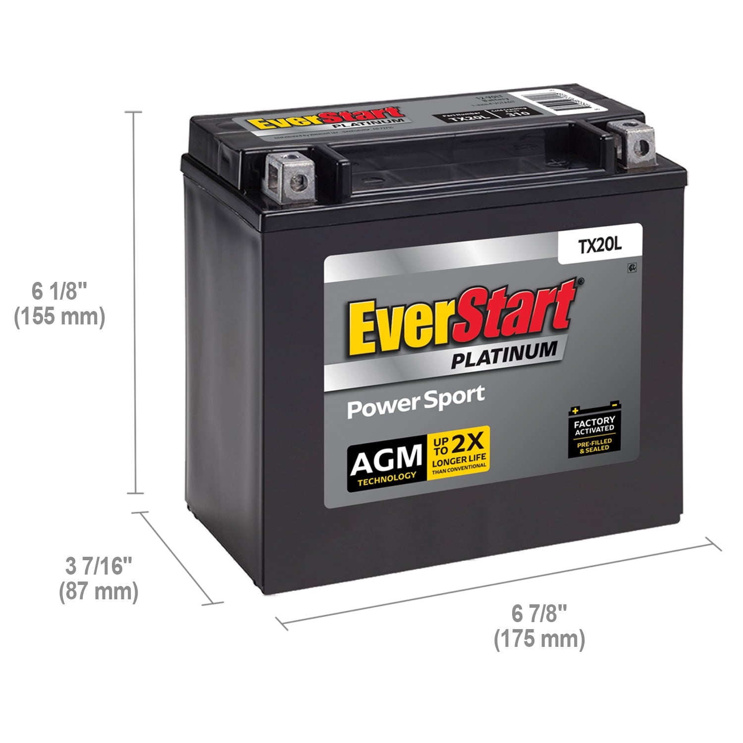 EverStart Platinum AGM Power Sport Battery, Group Size TX20L 12 Volt, 310 CCA