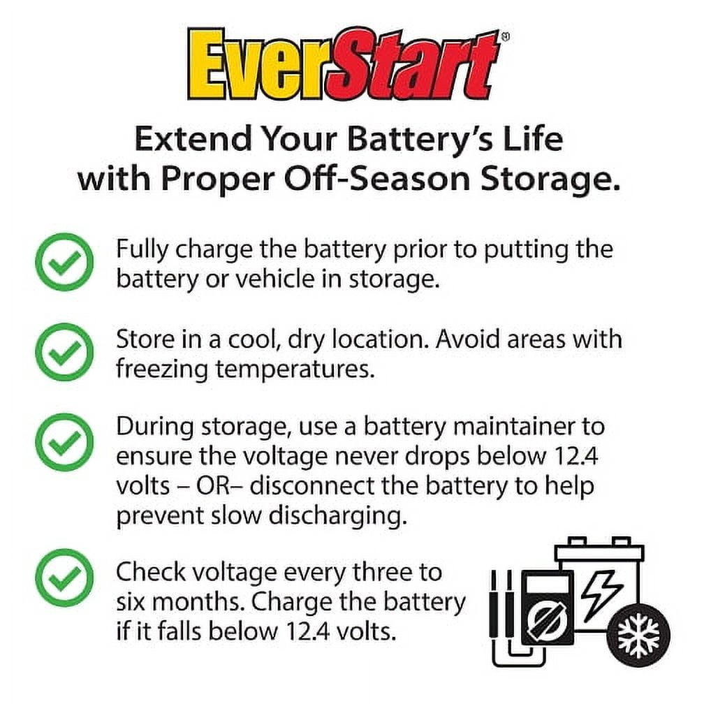 EverStart Platinum AGM Power Sport Battery, Group Size TX14 12 Volt, 200 CCA